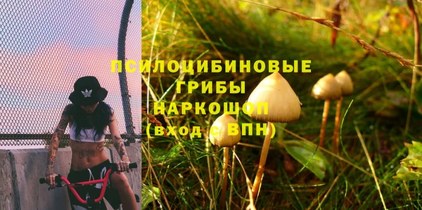 ECSTASY Армянск