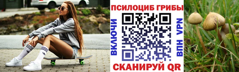 наркошоп  Горно-Алтайск  Псилоцибиновые грибы мухоморы 